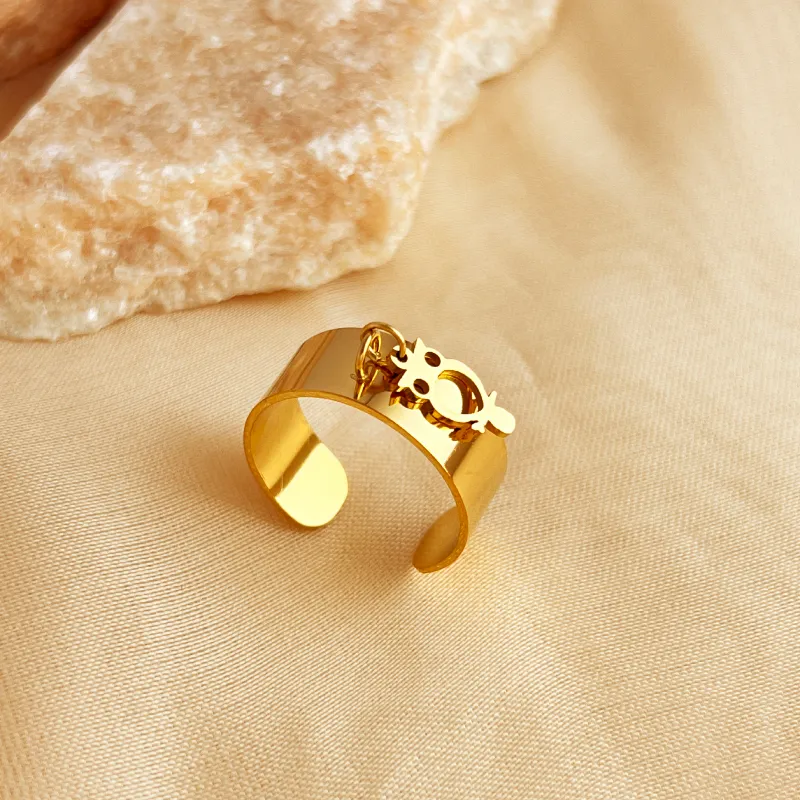 Bague Symb acier inoxydable 6