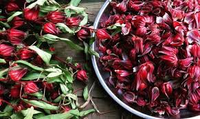 Fleurs d'hibiscus "BISSAP" bio et pure 7