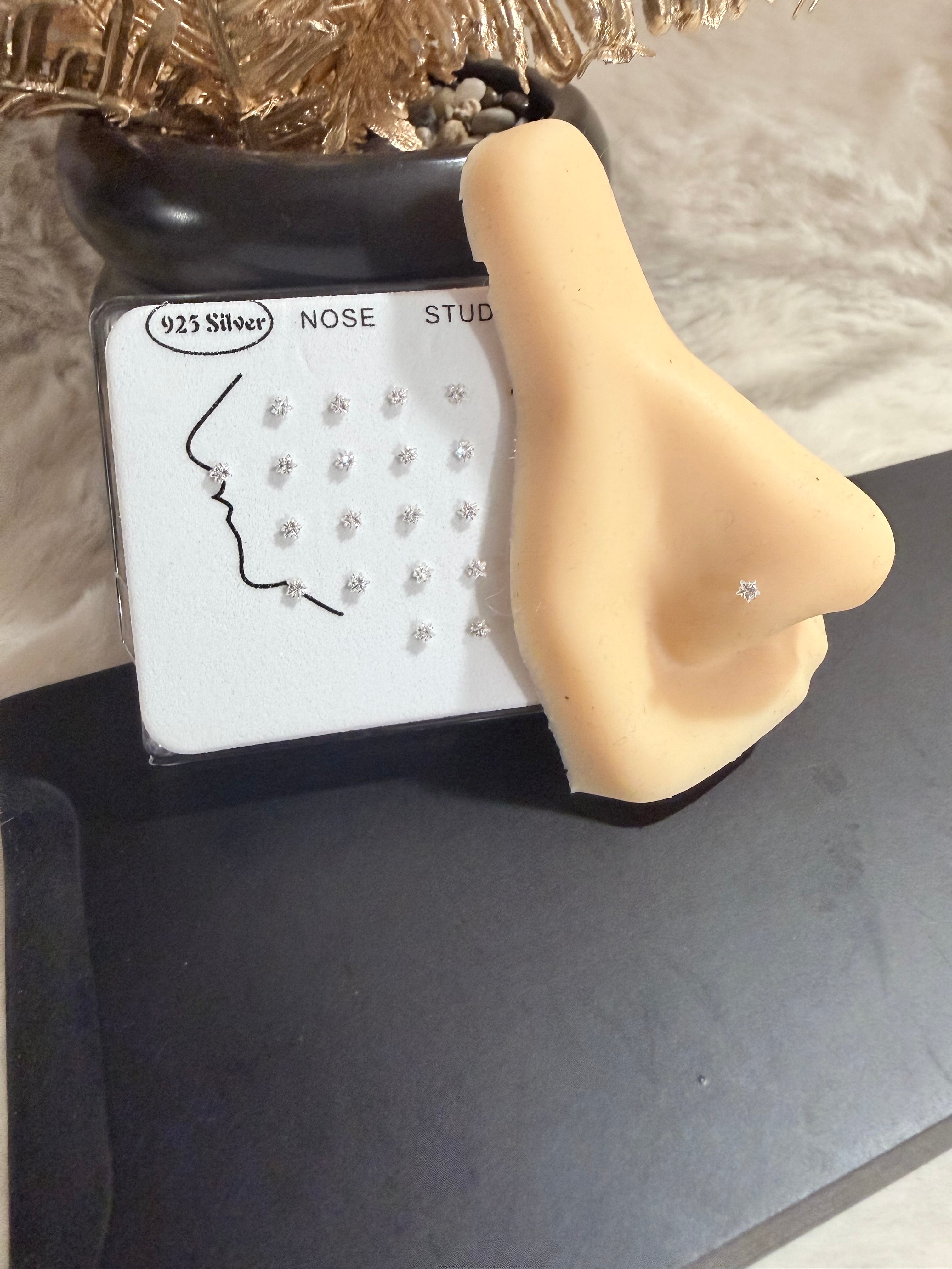 PN117 2