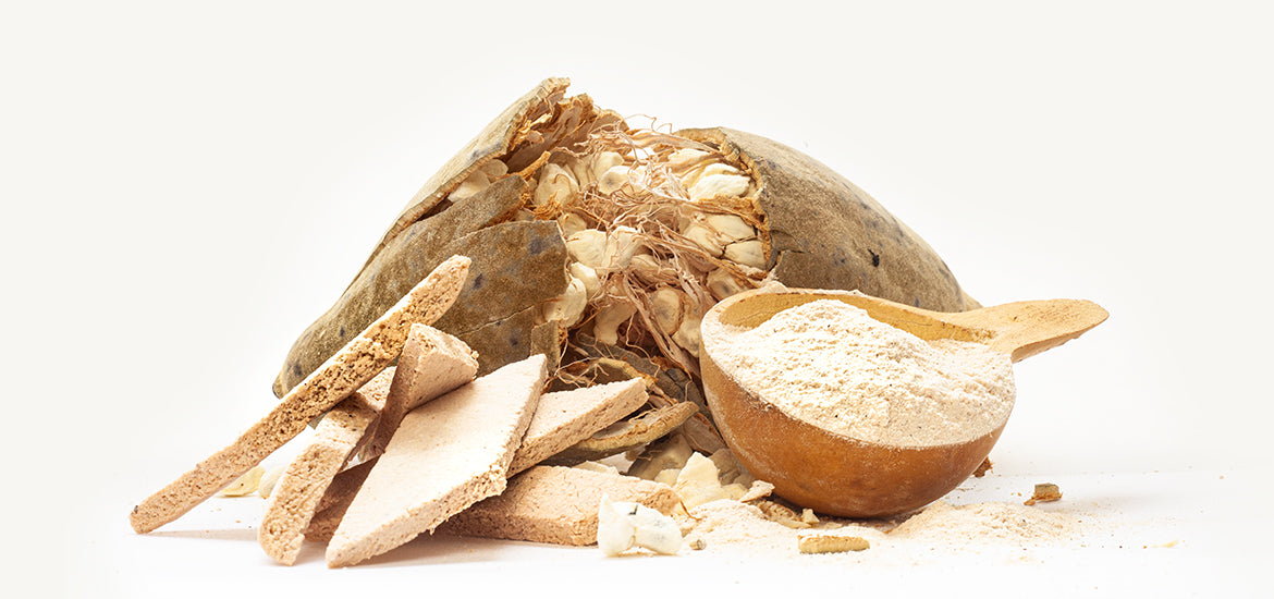 Poudre de baobab PUR & BIO 6